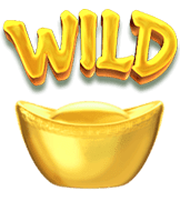 Wild Symbol